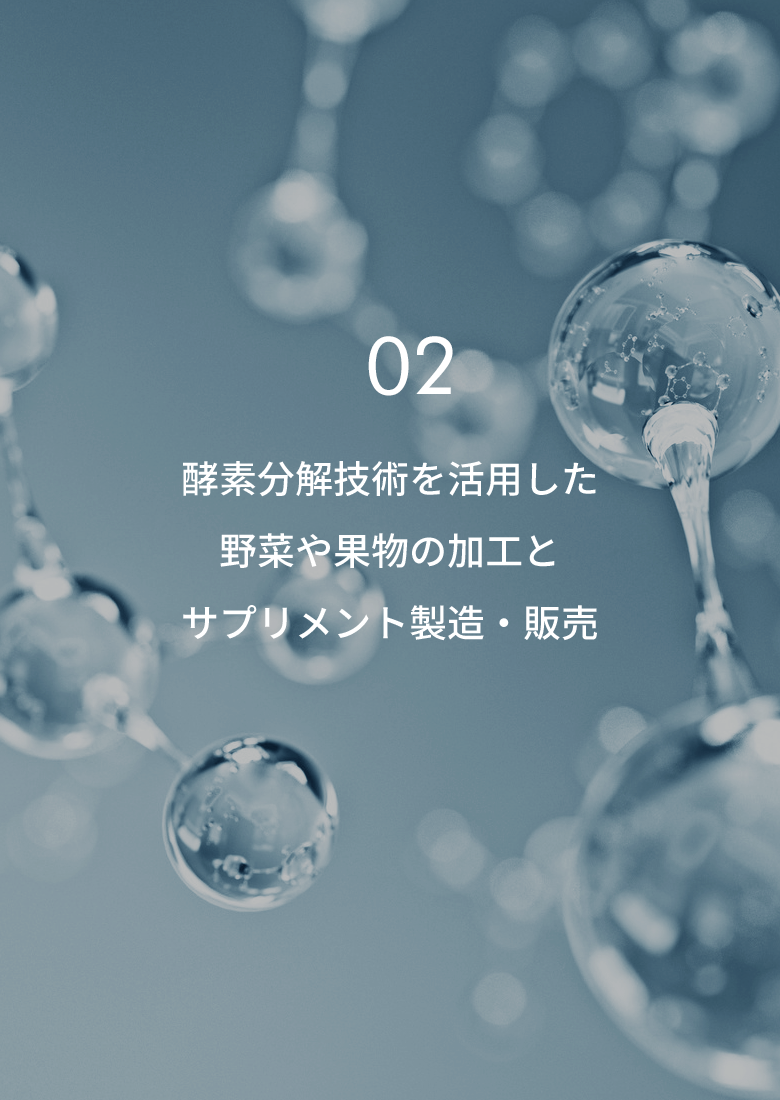 酵素分解技術を活⽤した野菜や果物の加⼯とサプリメント製造・販売